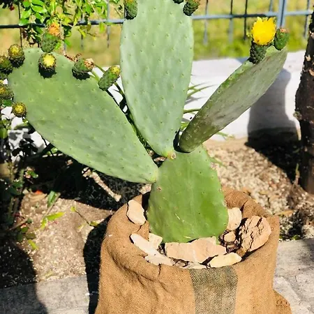 Nyaraló Dimora Pierdomiceli *